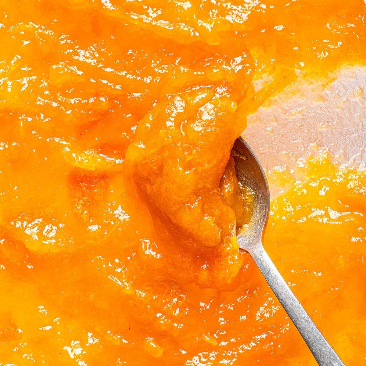 Organic Fruit Spread Apricot