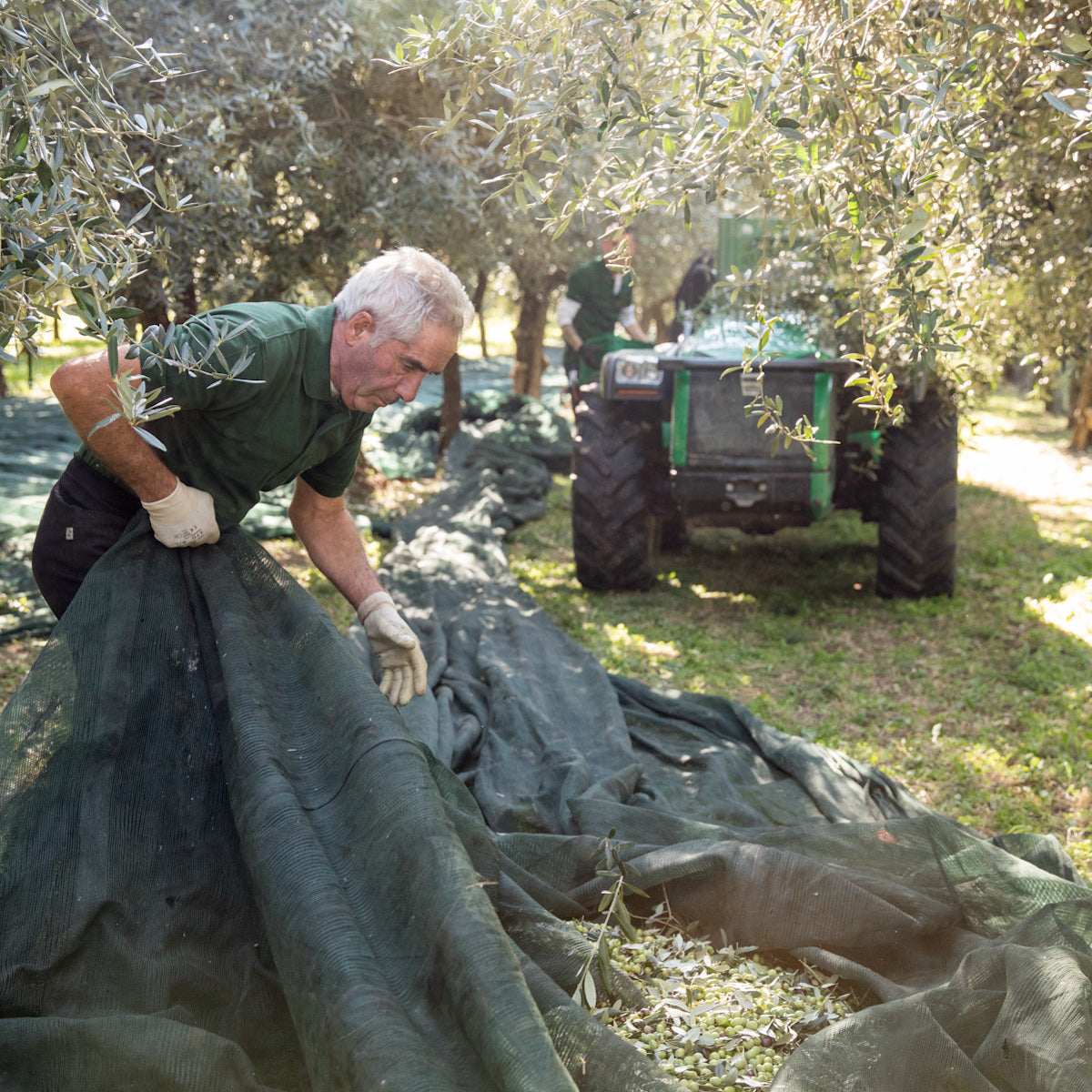 Organic Extra Virgin Olive Oil, 1L