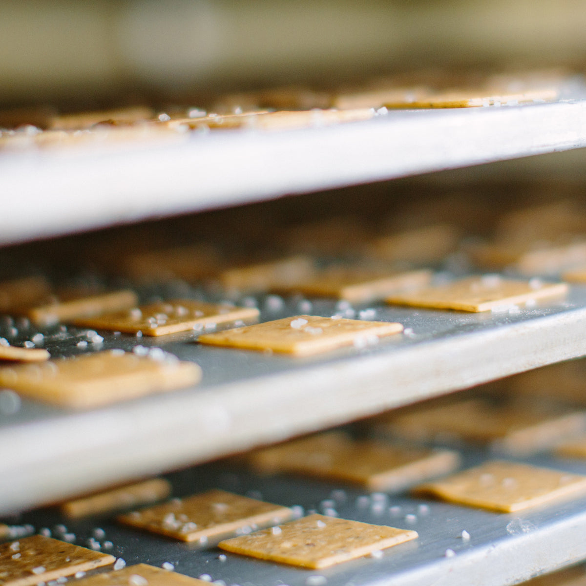 Organic Einkorn Sourdough Sea Salt Crackers