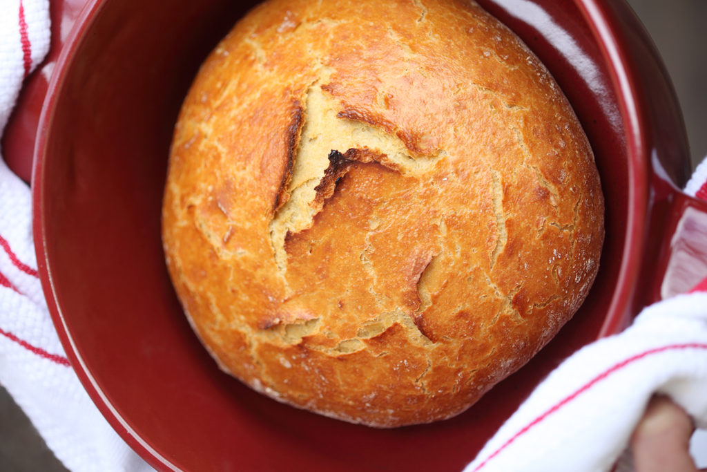 Round no-knead overnight artisan loaf resting in a red Dutch oven lined with a white tea towel
