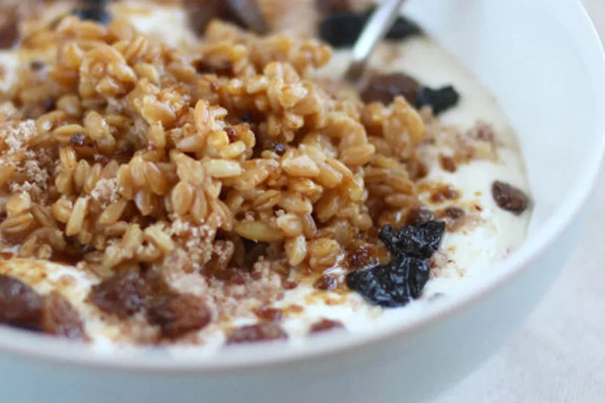 Close-up of a bowl of einkorn and yogurt topped with cooked einkorn berries, raisins, prunes and a drizzle of honey