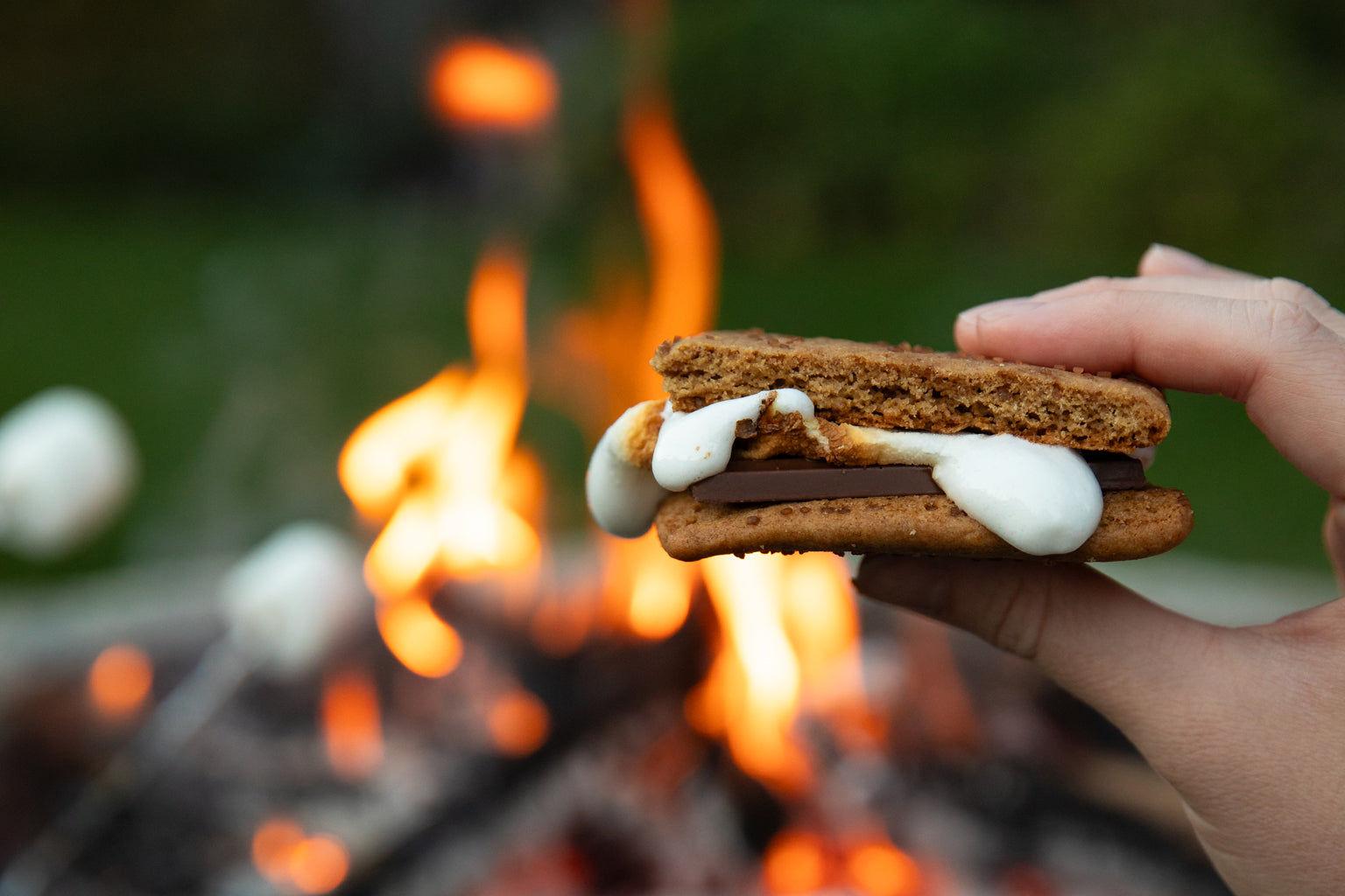 Gooey s'mores held beside a roaring campfire, made with Einkorn Graham Crackers
