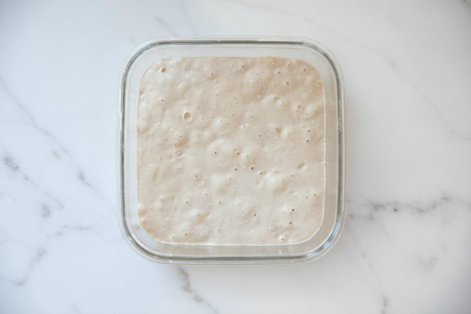 Einkorn Levain