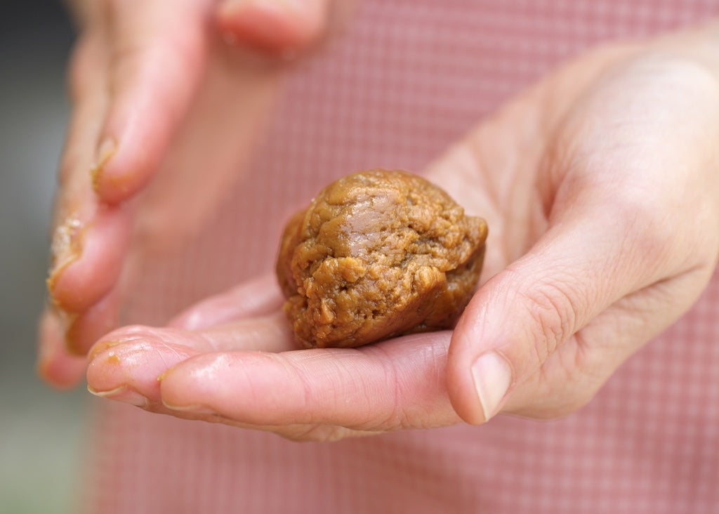 Soft and Chewy Einkorn Ginger Cookies