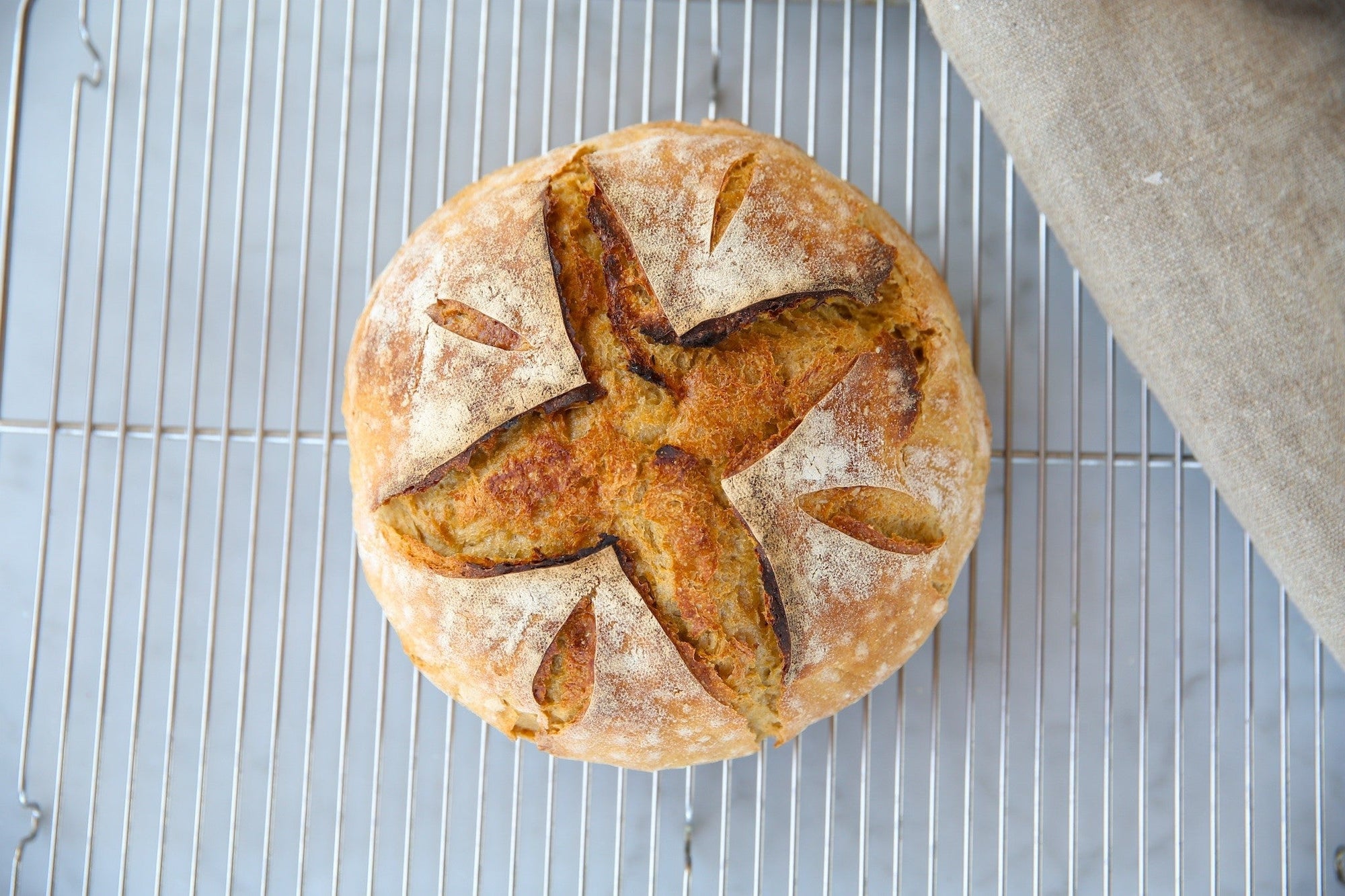 einkorn sourdough bread|einkorn sourdough bread jovial foods|Einkorn sourdough boule
