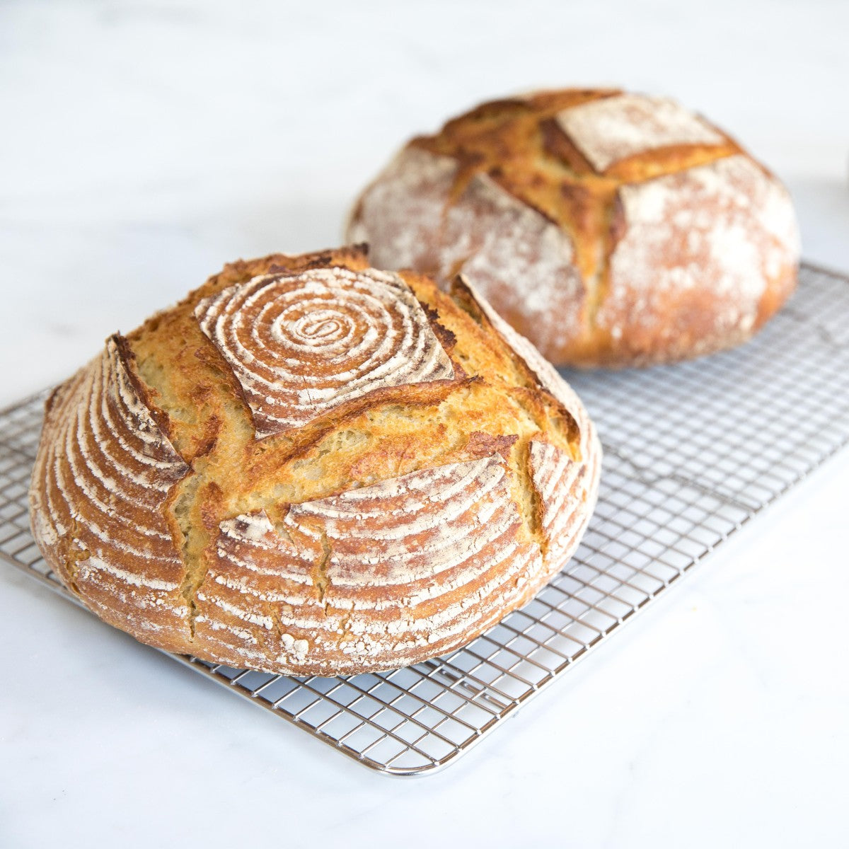 Einkorn Sourdough Starter