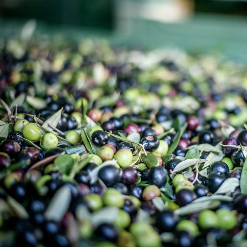 Olio Nuovo Organic Extra Virgin Olive Oil 1L