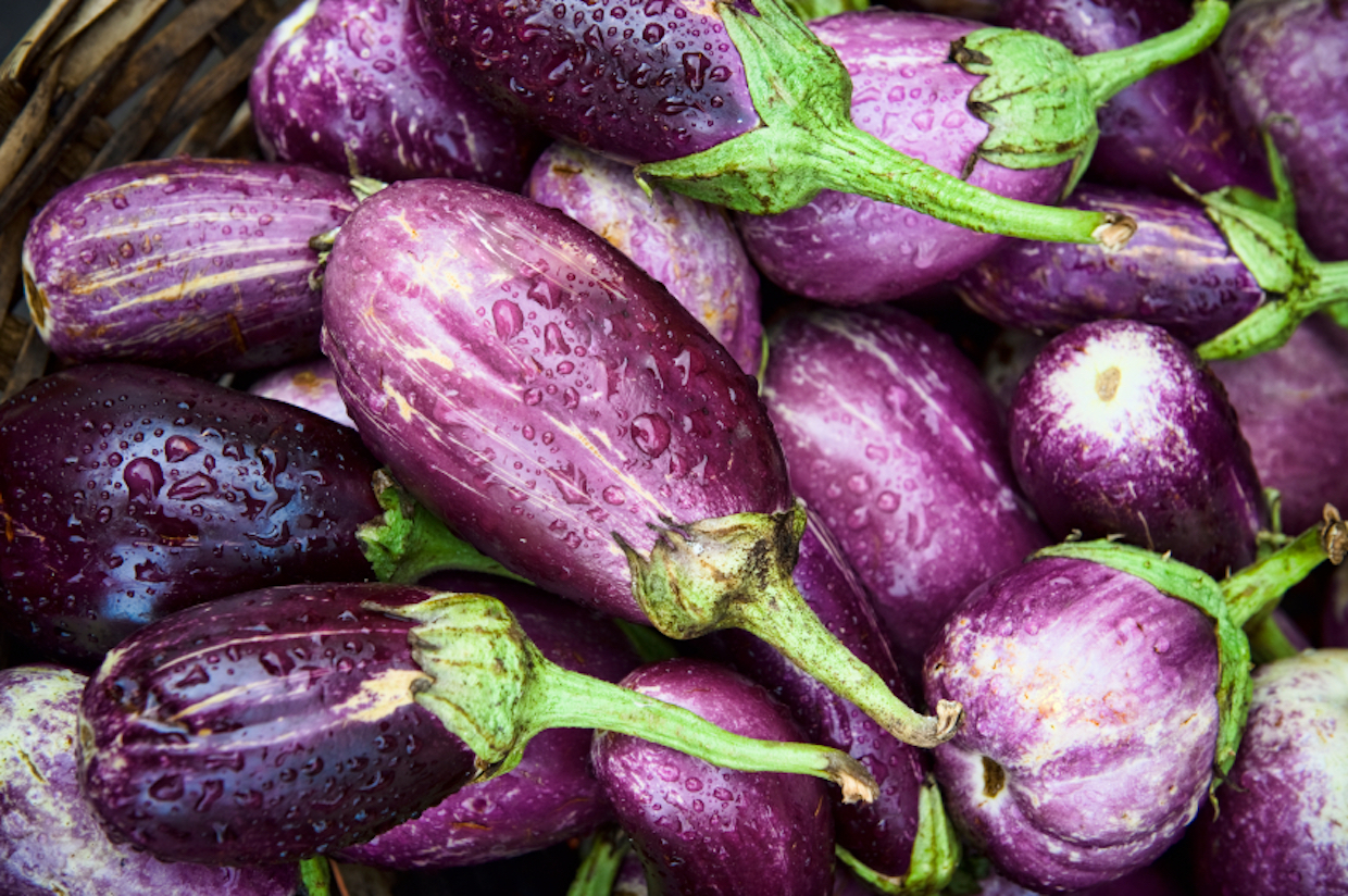 eggplant